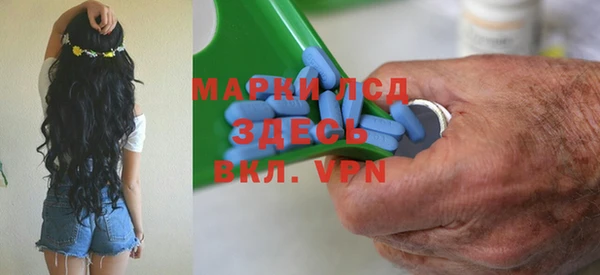 индика Белоозёрский