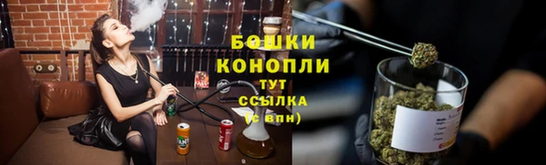 индика Белоозёрский