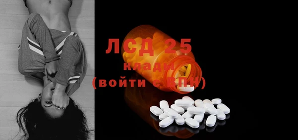 индика Белоозёрский