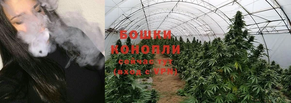индика Белоозёрский