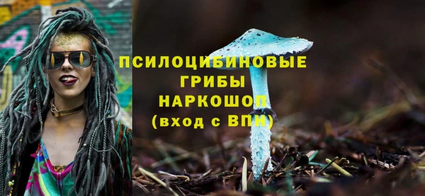 индика Белоозёрский